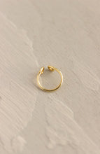 FAUX NOSTRIL RING